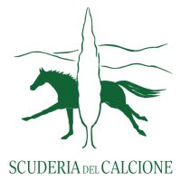 calcione-scuderia-logo